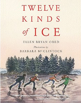 TWELVE KINDS OF ICE book cover